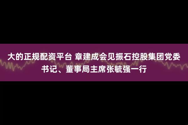 大的正规配资平台 章建成会见振石控股集团党委书记、董事局主席张毓强一行