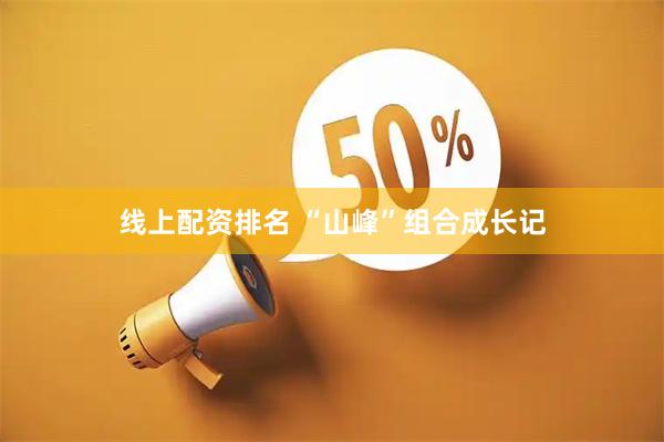 线上配资排名 “山峰”组合成长记